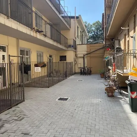 Vanchigliax2-vicino Mole Turin