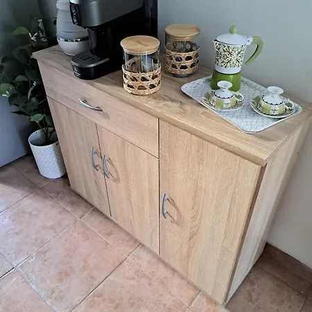 Vanchigliax2-vicino Mole 토리노