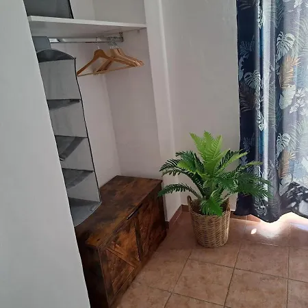 Vanchigliax2-vicino Mole