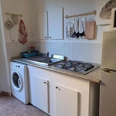 Vanchigliax2-vicino Mole